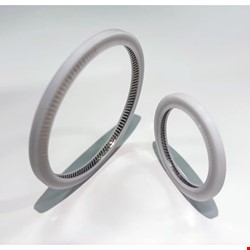 O ring